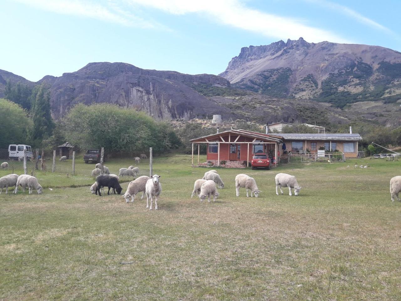 Hospedaje El Juncal Puerto Ingeniero Ibanez Kültér fotó